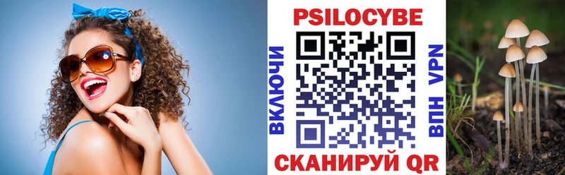 Галлюциногенные грибы Psilocybe  kraken вход  Крым 